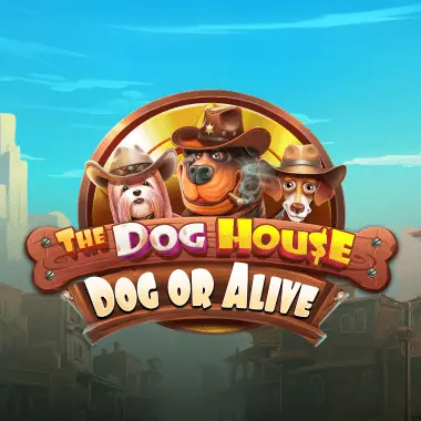 vodka casino промокод за регистрацию для игры в слоты The Dog House Dog or Alive